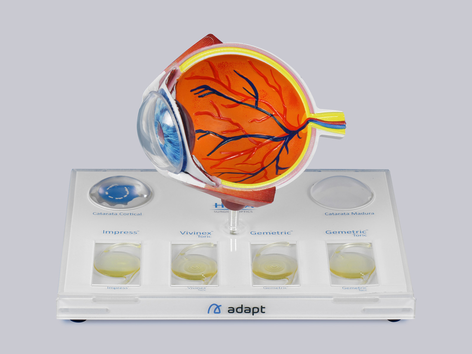 HOYA | ADAPT